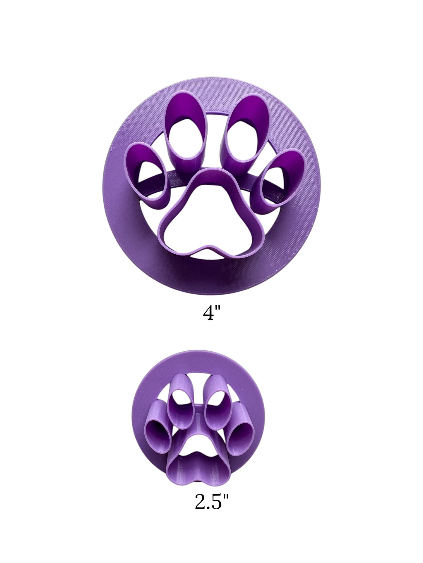 Paw Print Concha Stamp