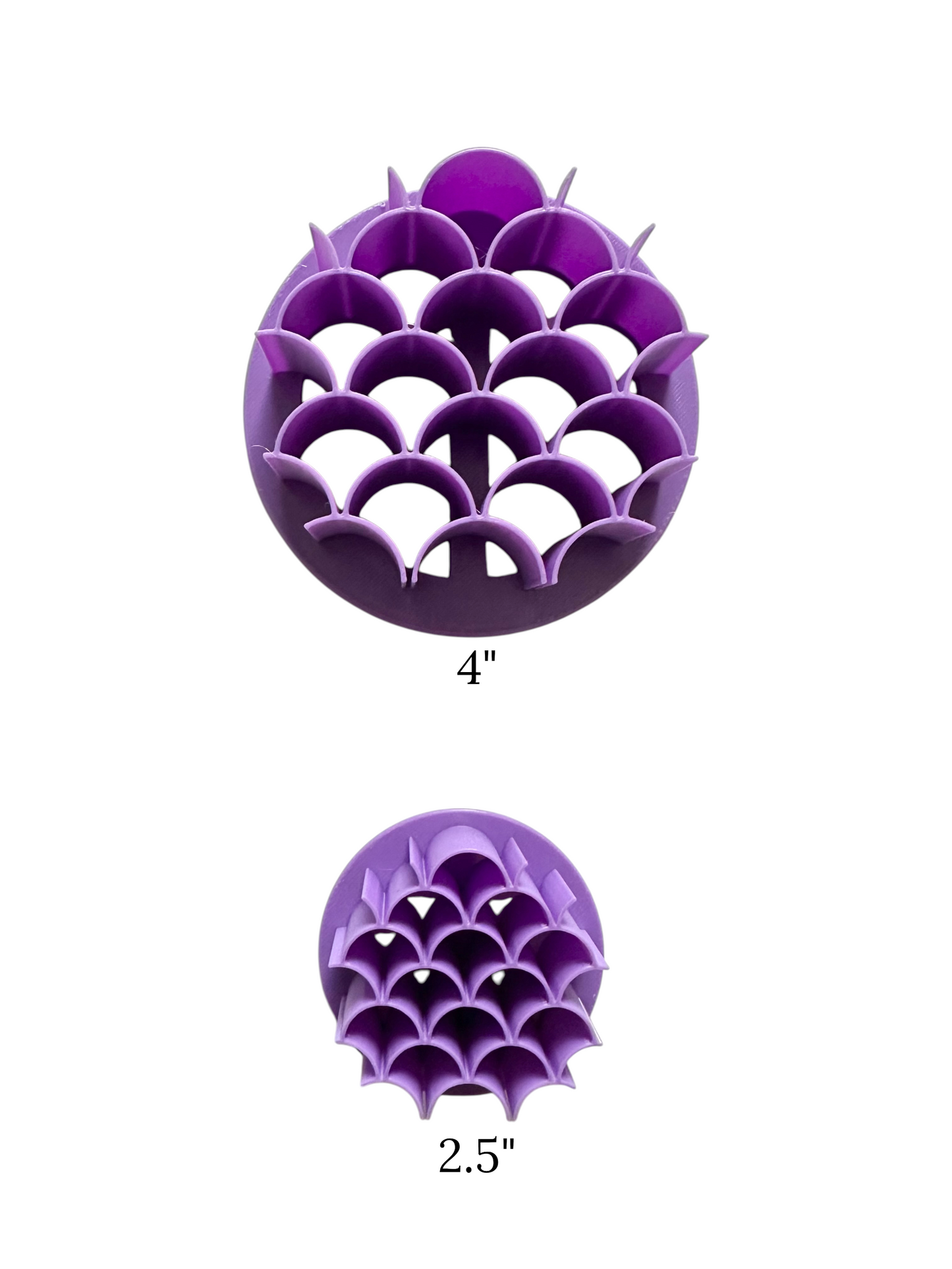 Scale Pattern Concha Stamp