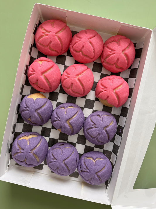 Butterfly Mini Conchas