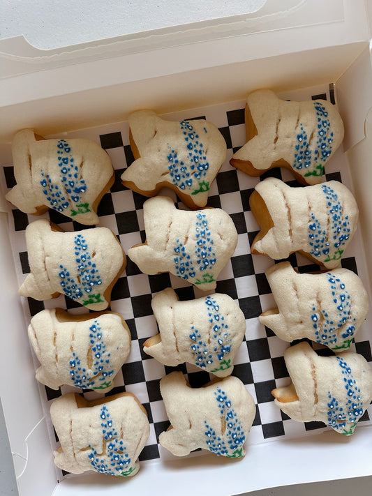 Texas Bluebonnet Mini Conchas (Pack of 12)