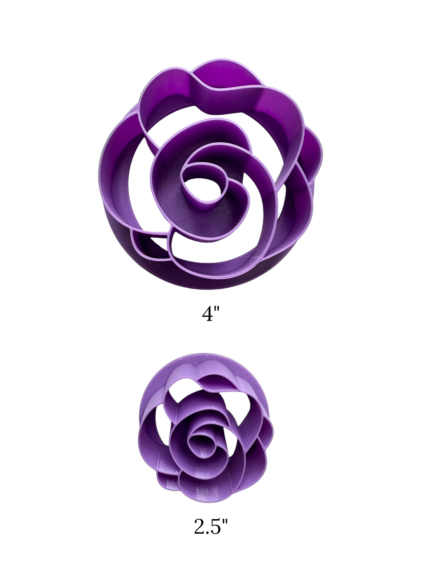 Rose Concha Stamp