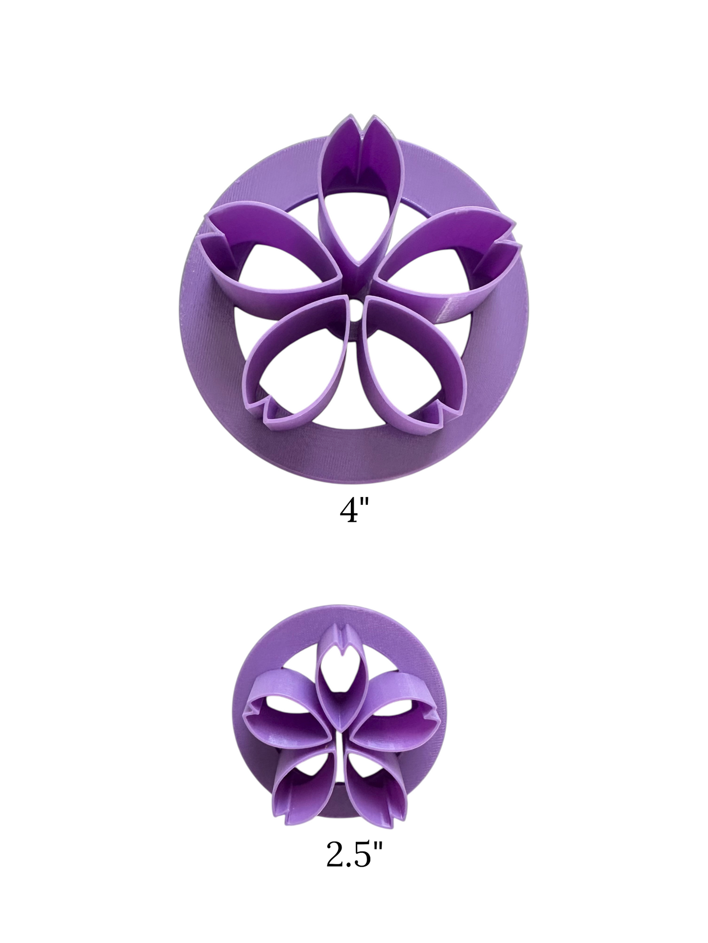 Cherry Blossom Concha Stamp